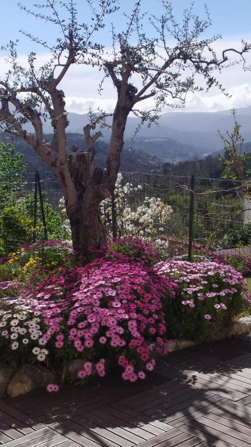 Studio Le Romantique A 20 Kms De Nice Bendéjun 외부 사진